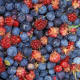 foods-that-do-not-make-you-older