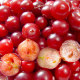 Cranberries