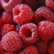Fresh raspberries