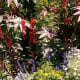 Gardens in the park