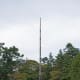 View of Beacon Hill Park Story Pole, Victoria