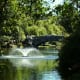 Fountain and bridge in the park