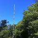 The tallest totem poles of the world..Victoria BC Canada