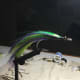 Trolling Dart in the making