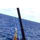 Dana's Trolling Dart used on Miller Time Charter Boats out of Boynton Beach, Florida