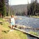 Gibbon Falls area
