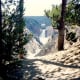 The Lower Falls in Yellowstone National Park