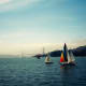 Sailboats and Golden Gate Bridge
