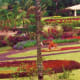 day-5-of-7-we-spent-on-vacation-in-hawaii-with-camera-in-hand