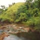 Lush area around Waimea