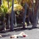 People sunbathing by a fish pond on that black sand beach in Hawaii