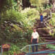 Pathway down to see Rainbow Falls