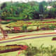 Landscaped grounds of the Nani Mau Gardens