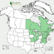 USDA PLANT DATABASE MAP OF RED PINE