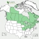 USDA PLANT DATABASE MAP OF JACK PINE