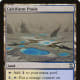 Calciform Pools mtg