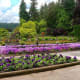 View of the Italian gardens
