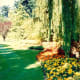 the-spectacular-butchart-gardens-in-victoria--bc--canada
