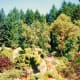 the-spectacular-butchart-gardens-in-victoria--bc--canada