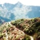 sequoia-and-kings-canyon-national-parks-general-sherman-tree-and-more