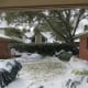 Our backyard