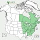 USDA Plant Database Map of Eastern White Pine Tree