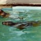 Sea otters