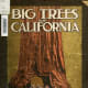 sequoia-and-kings-canyon-national-parks-general-sherman-tree-and-more