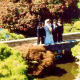 Bridal party