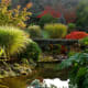 pictoral-views-of-queen-elizabeth-park--bloedel-conservatory-in-vancouver