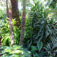 pictoral-views-of-queen-elizabeth-park--bloedel-conservatory-in-vancouver