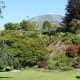 pictoral-views-of-queen-elizabeth-park--bloedel-conservatory-in-vancouver