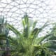 pictoral-views-of-queen-elizabeth-park--bloedel-conservatory-in-vancouver