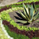 pictoral-views-of-queen-elizabeth-park--bloedel-conservatory-in-vancouver