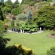 pictoral-views-of-queen-elizabeth-park--bloedel-conservatory-in-vancouver