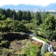 pictoral-views-of-queen-elizabeth-park--bloedel-conservatory-in-vancouver