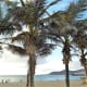 The palm-backed beach of Playa de las Canteras.