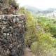 Mind the edge in Jardin Botanico.