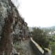 Some paths have a boundary wall.