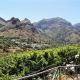 Finca la Laja in the Agaete Valley.