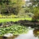 Water feature in Jardin Botanmico Canario.