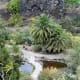 The lower level of Jardin Botanico Canario.