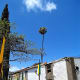 Street by the church in Arucas.