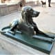 Bronze-effect dog statue, Plaza de Santa Ana, Las Palmas.