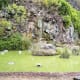 Water feature in Jardin Botanico Canario.