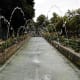 Water feature in Parque Doramas.