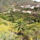 The view down from the upper level of Jardin Botanico Canario.
