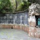 Fountain of the Wise, Jardin Botanico Canario.