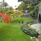 Lush greenery of Parque Doramas.