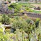 Jardin Botanico Canario.